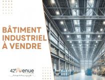 annonce vente local commerce trelins 42130