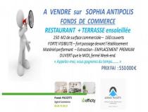 Immobilier local - commerce Valbonne 6560 [41/2850811]