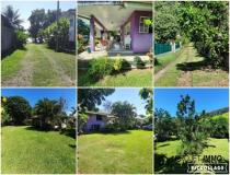 annonce vente maison afaahiti 98719