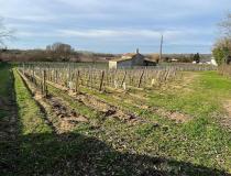 Immobilier maison Fronsac 33126 [1/35522398]