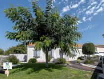 vente maison Les Magnils Reigniers - 35650856:3