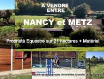 Achat maison Metz 57000 [1/36241522]