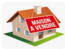 annonce vente maison petit canal 97131