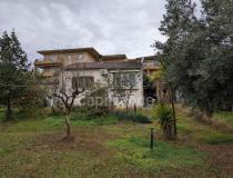 Vente maison San Nicolao 20230 [1/36088373]