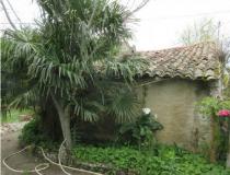 Immobilier maison St Bonnet Sur Gironde 17150 [1/34501114]