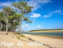 vente maison Talmont St Hilaire - 35255317:2