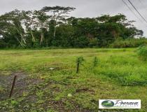 annonce vente terrain afaahiti 98719