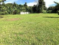 annonce vente terrain afaahiti 98719