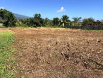 annonce vente terrain afaahiti 98719