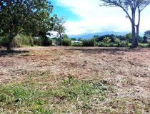 annonce vente terrain afaahiti 98719