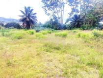 annonce vente terrain afaahiti 98719