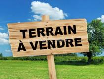 annonce vente terrain afaahiti 98719