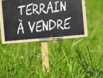 annonce vente terrain aillant sur tholon 89110