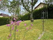 annonce vente terrain aixe sur vienne 87700