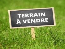 annonce vente terrain allaire 56350