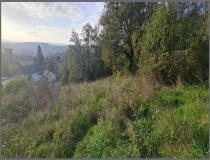 annonce vente terrain allassac 19240