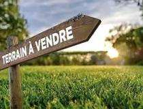 annonce vente terrain artenay 45410