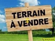 annonce vente terrain avord 18520