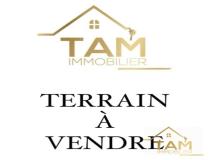 annonce vente terrain balogna 20160