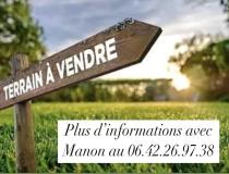 annonce vente terrain baule 45130