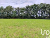 vente terrain Beaulieu Sous La Roche - 7683081:3