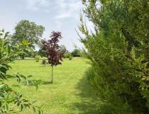 annonce vente terrain beaune la rolande 45340