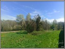 annonce vente terrain belfort 90000