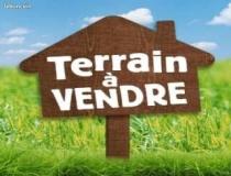 annonce vente terrain belin beliet 33830