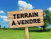 annonce vente terrain benamenil 54450