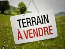 annonce vente terrain berck 62600