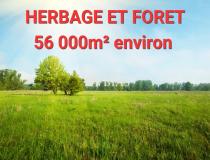 annonce vente terrain bernay 27300