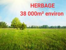 annonce vente terrain bernay 27300