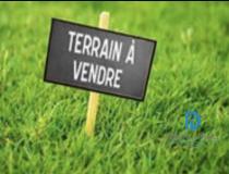 annonce vente terrain bersee 59235