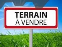 annonce vente terrain bois de la pierre 31390