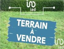 annonce vente terrain bois le roi 77590