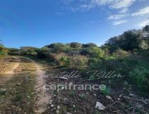 annonce vente terrain bonifacio 20169