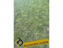 Achat terrain Bouchemaine 49080 [4/7805994]