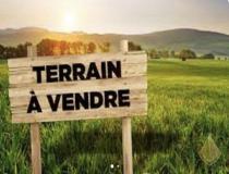 annonce vente terrain bouzonville aux bois 45300