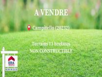 annonce vente terrain campitello 20252