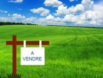 annonce vente terrain cancale 35260