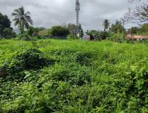 vente terrain Capesterre Belle Eau - 7797108:2