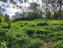 vente terrain Capesterre Belle Eau - 7797108:3