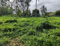 vente terrain Capesterre Belle Eau - 7797108:4