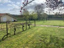 annonce vente terrain carignan de bordeaux 33360