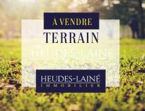 annonce vente terrain carnet 50240