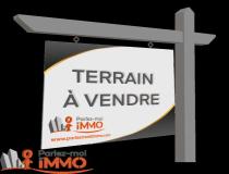 annonce vente terrain chalmazel 42920