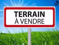 annonce vente terrain chalou moulineux 91740