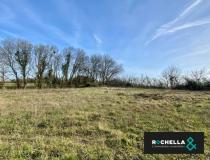 annonce vente terrain chambon 17290