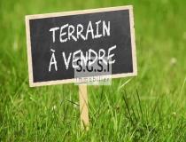 annonce vente terrain champagne 72470