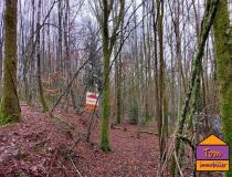 annonce vente terrain champagney 70290